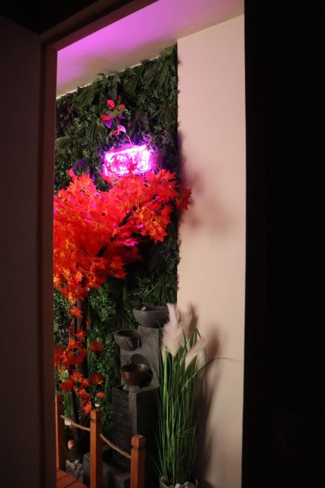 Loveroom Japon Avec Balneotherapie Toulon Eksteriør billede