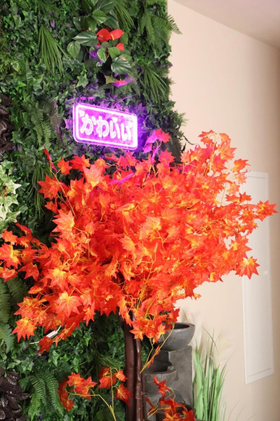 Loveroom Japon Avec Balneotherapie Toulon Eksteriør billede